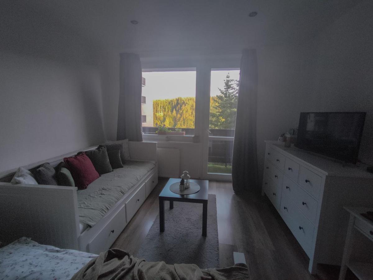 Apartmanek Protez Janské Lázně Extérieur photo