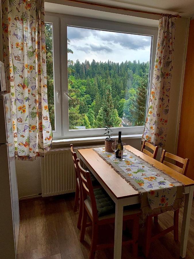 Apartmanek Protez Janské Lázně Extérieur photo